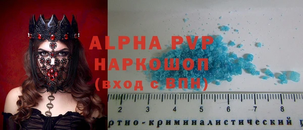 экстази Бородино