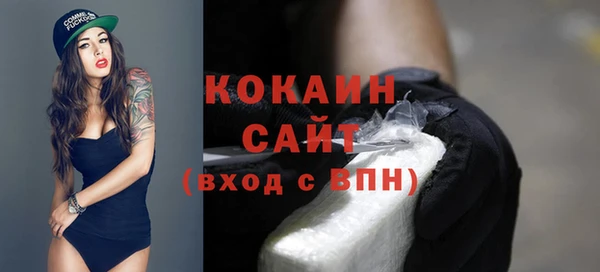 экстази Бородино