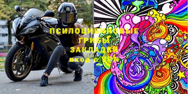 экстази Бородино