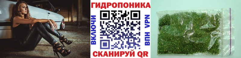 Купить где  Челябинск  Шишки марихуана гибрид 